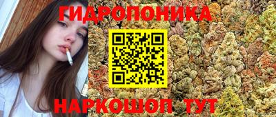 ECSTASY Краснознаменск