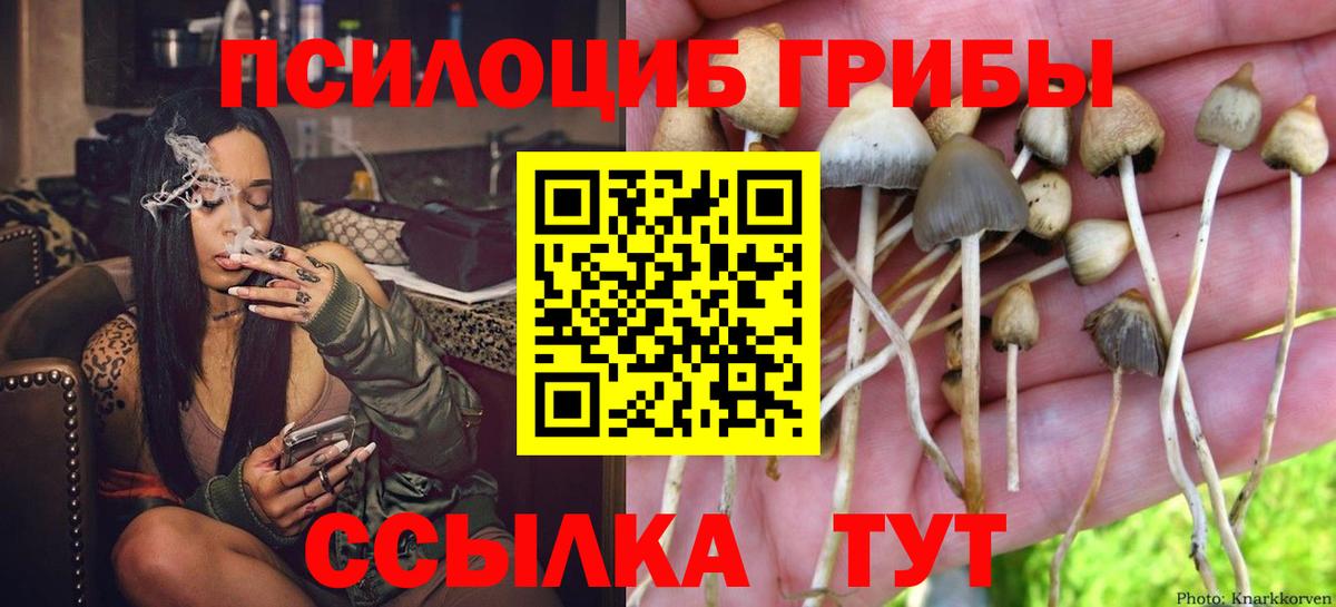 Псилоцибиновые грибы ЛСД  Псилоцибиновые грибы Cubensis  Киржач  Вход с VPN 