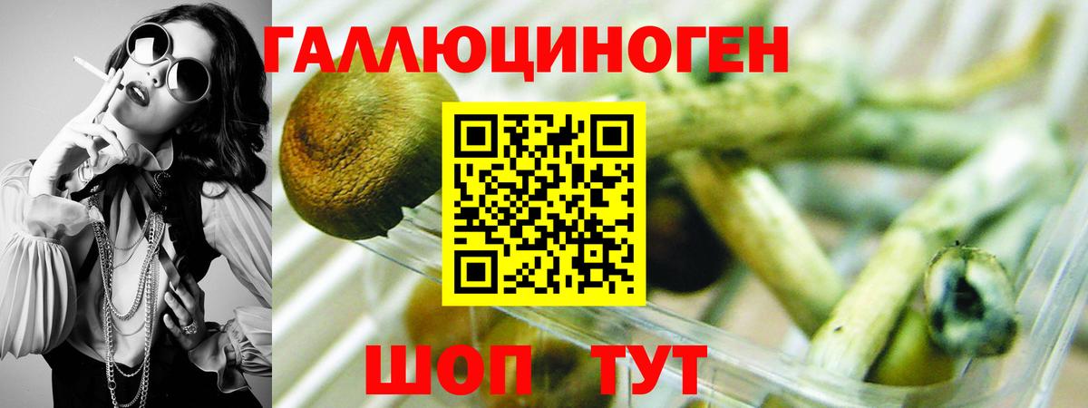 Псилоцибиновые грибы мицелий Киржач